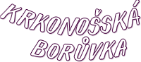 Krkonošská Borůvka